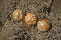 Polished Small Namibian Desert Picture Stone Jasper Sphere-Balls - Sold Per Item - From Namibia