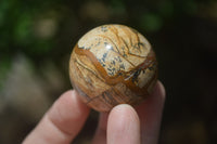 Polished Small Namibian Desert Picture Stone Jasper Sphere-Balls - Sold Per Item - From Namibia