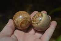 Polished Small Namibian Desert Picture Stone Jasper Sphere-Balls - Sold Per Item - From Namibia