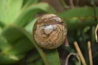 Polished Small Namibian Desert Picture Stone Jasper Sphere-Balls - Sold Per Item - From Namibia