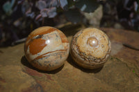 Polished Small Namibian Desert Picture Stone Jasper Sphere-Balls - Sold Per Item - From Namibia