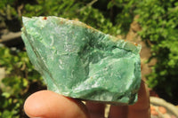 Natural Jade Cobbed Specimens x 12 From Swaziland