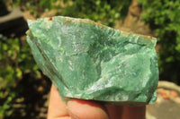 Natural Jade Cobbed Specimens x 12 From Swaziland