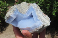 Natural Blue Lace Agate Geode Specimens x 2 From Malawi