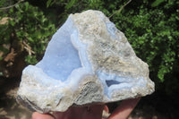 Natural Blue Lace Agate Geode Specimens x 2 From Malawi