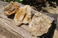 Natural Limonite Quartz Clusters x 3 From Zambia