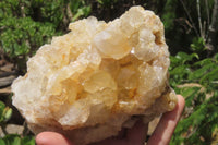 Natural Limonite Quartz Clusters x 3 From Zambia