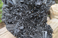 Natural Schorl Black Tourmaline Cluster x 1 From Namibia