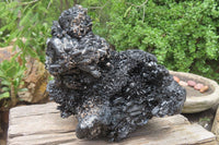 Natural Schorl Black Tourmaline Cluster x 1 From Namibia