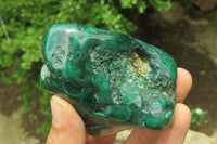 Polished Flower Banded Malachite Free Forms x 3 From Congo