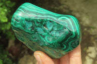 Polished Flower Banded Malachite Free Forms x 3 From Congo