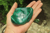 Polished Flower Banded Malachite Free Forms x 3 From Congo