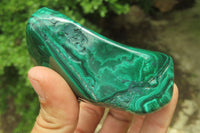 Polished Flower Banded Malachite Free Forms x 3 From Congo