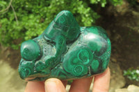 Polished Flower Banded Malachite Free Forms x 3 From Congo