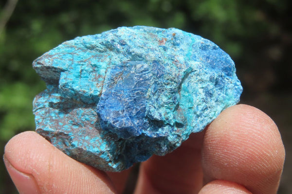 Natural Shattuckite with Chrysocolla & Malachite Specimens x 2.7 Kg Lot from Kaokoveld, Namibia