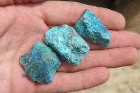 Natural Shattuckite with Chrysocolla & Malachite Specimens x 2.7 Kg Lot from Kaokoveld, Namibia