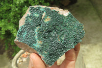 Natural Botryoidal Malachite Specimens x 6 From Tenke Fungurume, Congo