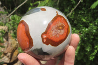 Polished Polychrome Jasper Spheres x 3 From Madagascar