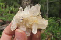 Natural Clear Quartz Clusters x 35 From Madagascar