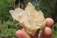 Natural Clear Quartz Clusters x 35 From Madagascar