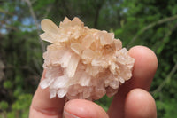 Natural Clear Quartz Clusters x 35 From Madagascar