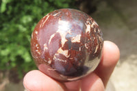 Polished Red Jasper Spheres x 12 From Northern Cape, South Africa