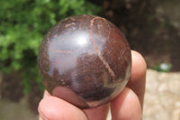 Polished Red Jasper Spheres x 12 From Northern Cape, South Africa