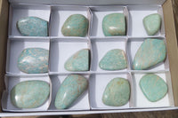 Polished Amazonite Standing Free Forms x 12 From Zimbabwe