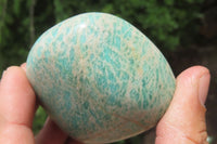 Polished Amazonite Standing Free Forms x 12 From Zimbabwe