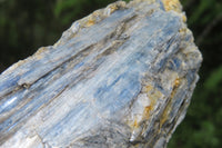 Natural Kyanite With Garnet Matrix Specimens x 4 From Zimbabwe