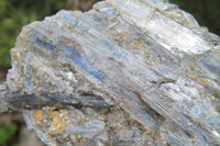 Natural Kyanite With Garnet Matrix Specimens x 4 From Zimbabwe