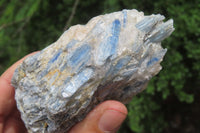 Natural Kyanite With Garnet Matrix Specimens x 4 From Zimbabwe