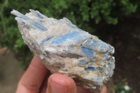 Natural Kyanite With Garnet Matrix Specimens x 4 From Zimbabwe