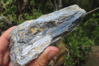 Natural Kyanite With Garnet Matrix Specimens x 4 From Zimbabwe