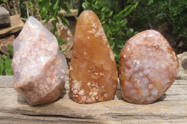 Polished Flower Agate Standing Free Forms x 3 From Antsahalova, Madagascar