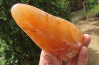 Polished Flower Agate Standing Free Forms x 3 From Antsahalova, Madagascar