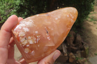 Polished Flower Agate Standing Free Forms x 3 From Antsahalova, Madagascar