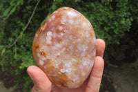 Polished Flower Agate Standing Free Forms x 3 From Antsahalova, Madagascar