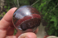 Polished Red Jasper Spheres x 12 From Northern Cape, South Africa