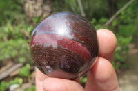 Polished Red Jasper Spheres x 12 From Northern Cape, South Africa