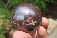 Polished Red Jasper Spheres x 12 From Northern Cape, South Africa