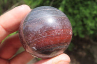 Polished Red Jasper Spheres x 12 From Northern Cape, South Africa