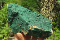 Natural Botryoidal Malachite Specimens x 3 From Tenke Fungurume, Congo