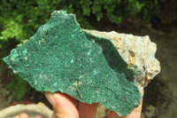 Natural Botryoidal Malachite Specimens x 3 From Tenke Fungurume, Congo