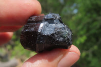 Natural Schorl Black Tourmaline Specimens x 36 From Namibia