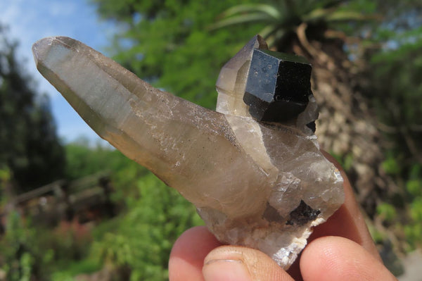 Natural Schorl Black Tourmaline Specimens x 36 From Namibia