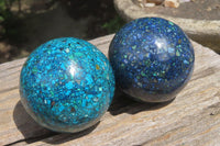 Polished Chrysocolla Conglomerate Spheres x 2 From Congo