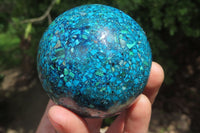 Polished Chrysocolla Conglomerate Spheres x 2 From Congo