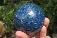 Polished Chrysocolla Conglomerate Spheres x 2 From Congo