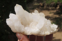 Natural Clear Quartz Clusters x 6 From Madagascar